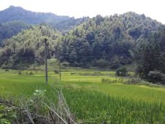 -井冈山风景名胜区