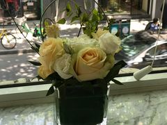 -蝶舍·MAISON PAPILLON