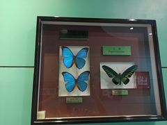 -上海昆虫博物馆