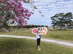 -风云岭森林公园