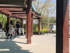 -大兴滨河森林公园