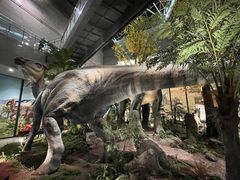 -湖南省地质博物馆