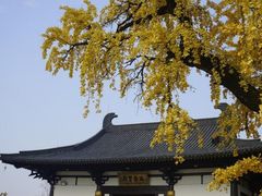 -云幽谷旅游区