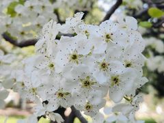 -山东师范大学(千佛山校区)