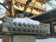 -善化寺