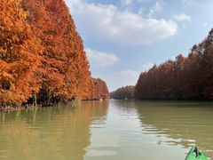 -上海海湾国家森林公园