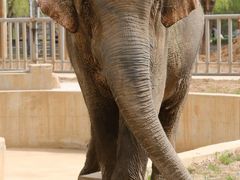 -石家庄市动物园