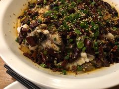 -三猫黑鱼花(南大店)