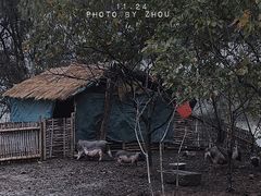 -长兴太湖图影湿地文化园