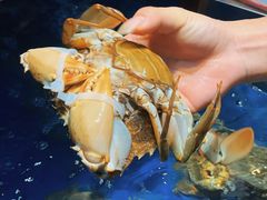 -宏佳丰味蟹馆(洛溪店)