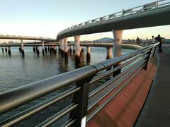 -演武大桥观景平台