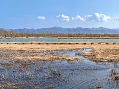 -野鸭湖国家湿地公园