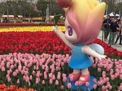 -大宁郁金香公园-停车场