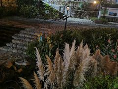 -军营村