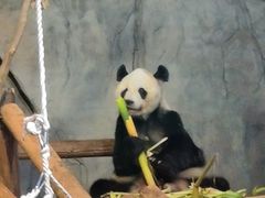-深圳野生动物园
