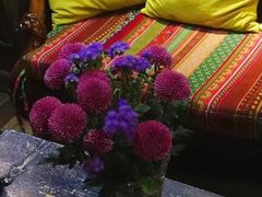 -六月花园咖啡馆(中关村东路店)