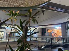 -烹然四季椰子鸡火锅(姚家园万象汇店)