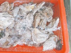 -后田海鲜餐厅(南澳香湖湾店)