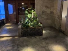 -浅深(北京北四环精品店)