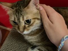 -H立方实景剧情密室(天河旗舰店)
