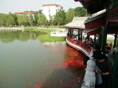 -西海子公园