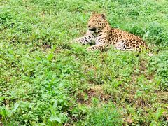 -大连森林动物园