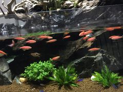 -Together·泰式按摩精油SPA(天山店)