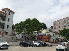 -洞背山庄(洞背院区式管理小区店)