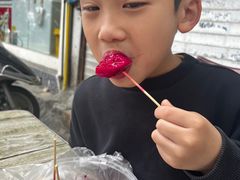 -老炳·七丛松甘草水果