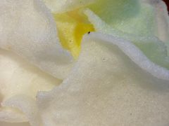 -邵汇大虾(会展店)