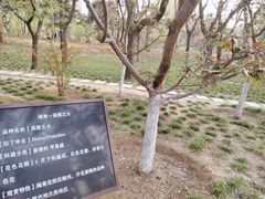 -海棠花溪(元大都城垣遗址公园)
