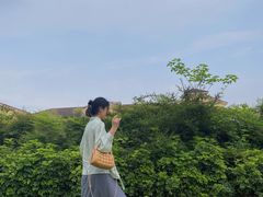 -府河摄影公园