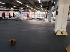 -FIGHTMAN格斗俱乐部(长宁临空店)