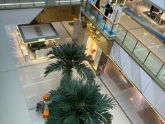 -万达广场(南昌红谷滩店)