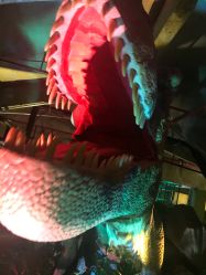 -恐龙探索乐园(磁器口店)