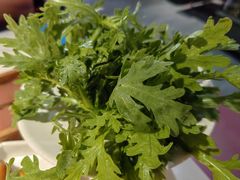 -九鼎轩脆毛肚火锅(三钢里店)