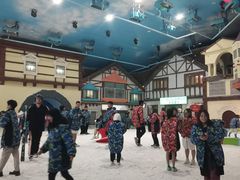 -世界之窗阿尔卑斯冰雪世界
