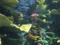 -福州罗源湾海洋世界旅游区