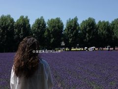 -富田农场
