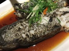 -七仙岭君澜度假酒店·桃源小馆中餐厅