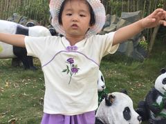 -泉州海丝野生动物世界