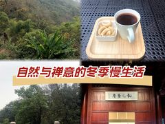 -韬光茶庵