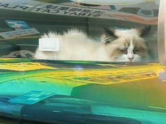 -凯德广场(学府店)