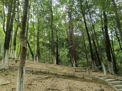 -火炉山森林公园