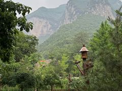 -芦芽山旅游度假区