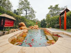 -森波拉火山温泉