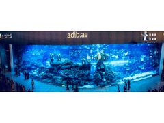 -迪拜水族馆及水下动物园