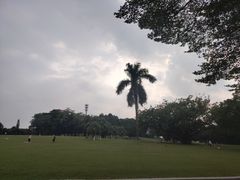 -东莞植物园
