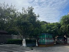 -宋井风景区