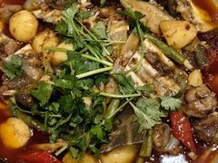 -高坎一品甲鱼庄(两河店)